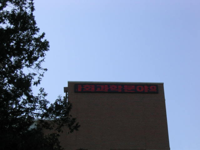 100_0003.JPG