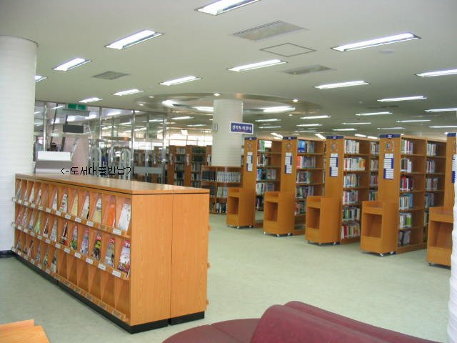 100_0010.JPG
