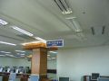 100_0055.JPG